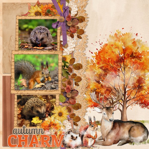 autumn charm.jpg