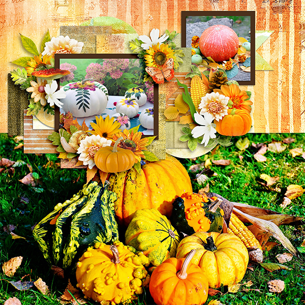 Autumn color
