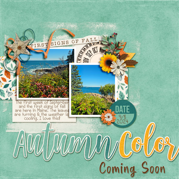 Autumn Color