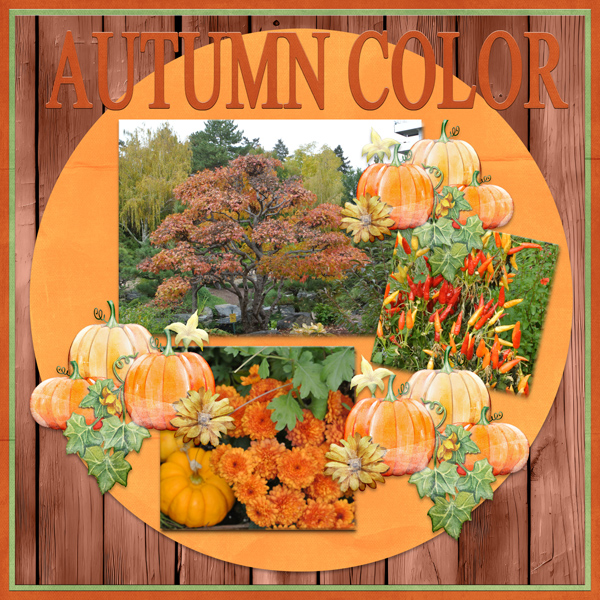 AUTUMN COLOR