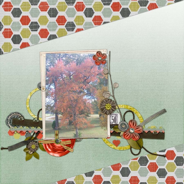Autumn Colors