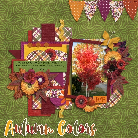 Autumn Colors