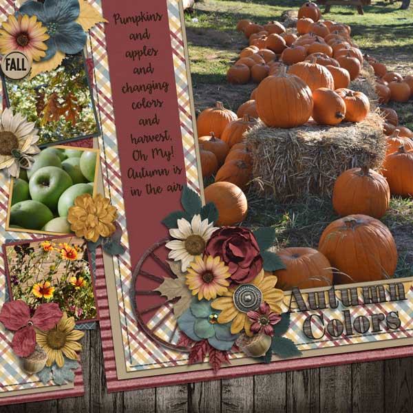 autumn colors