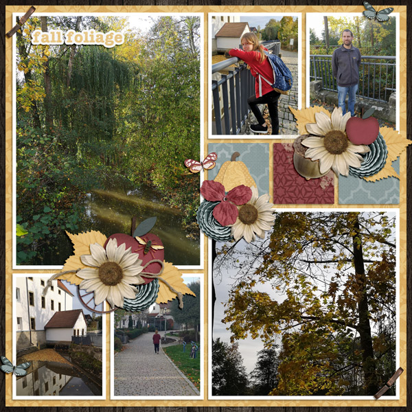 autumn colors