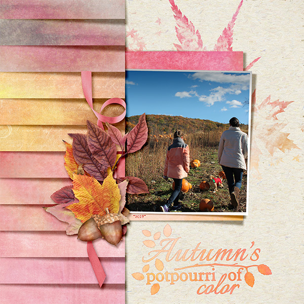 Autumn Colors