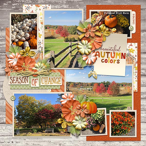 autumn colors