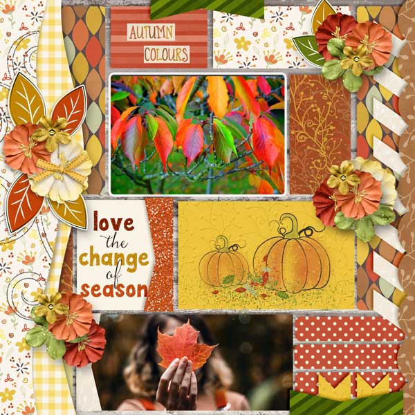 Autumn Colors