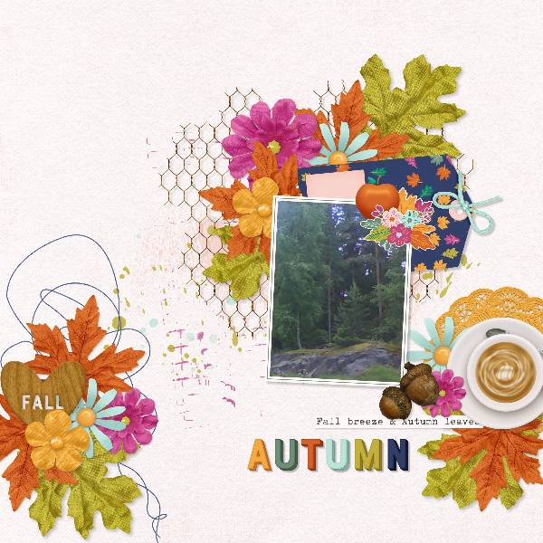 Autumn colors