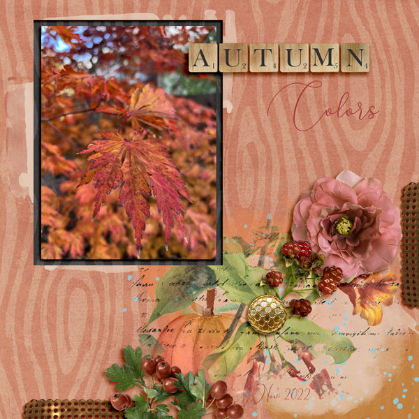 Autumn Colors