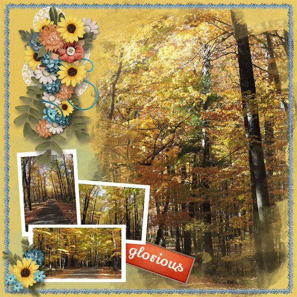 Autumn Colors