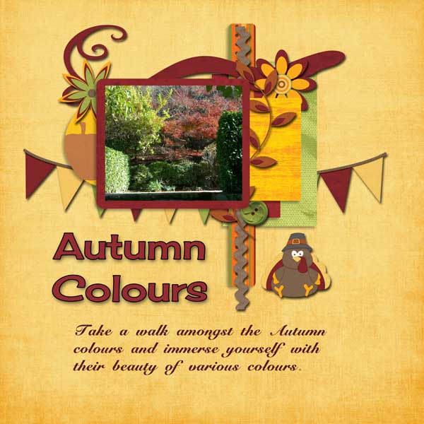 Autumn Colours