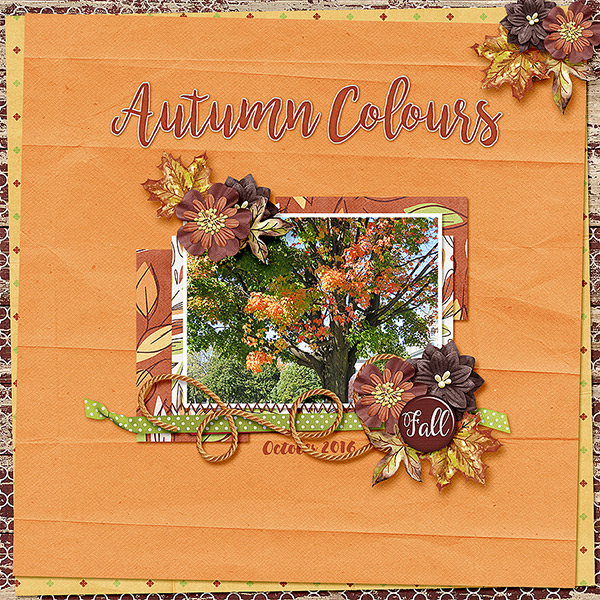 Autumn Colours