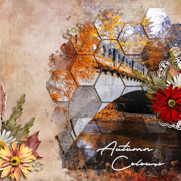 Autumn colours