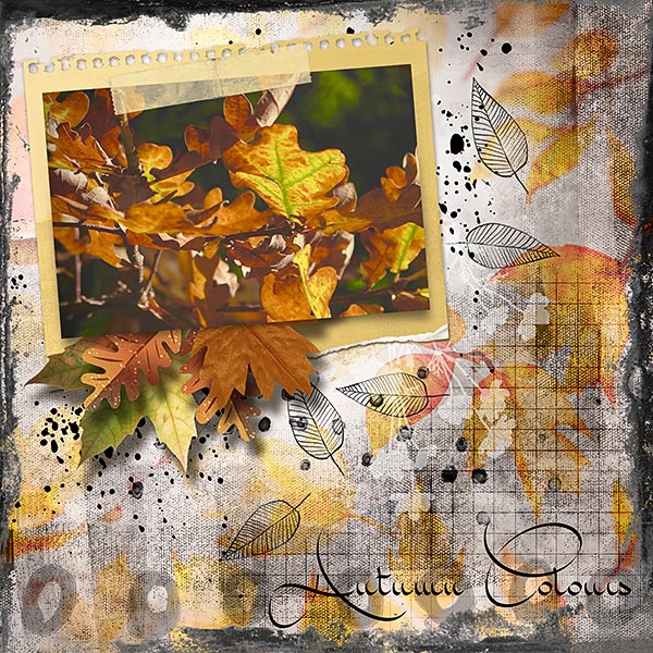 Autumn Colours