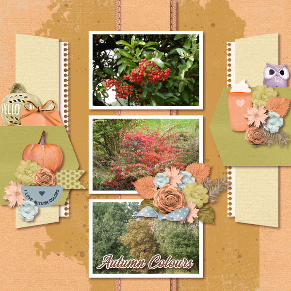 Autumn Colours