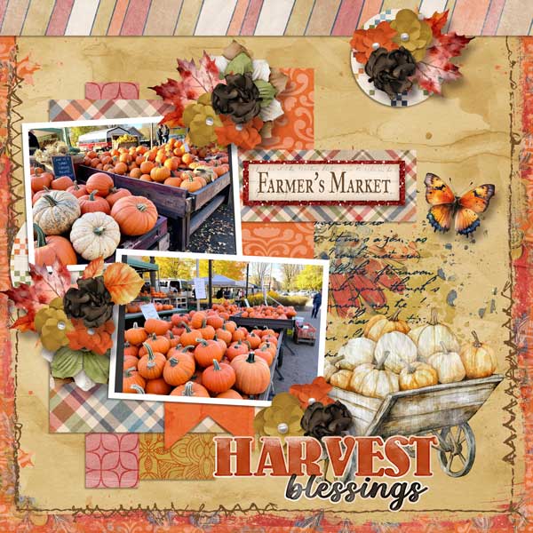 autumn-country-aimeeh-Tinci