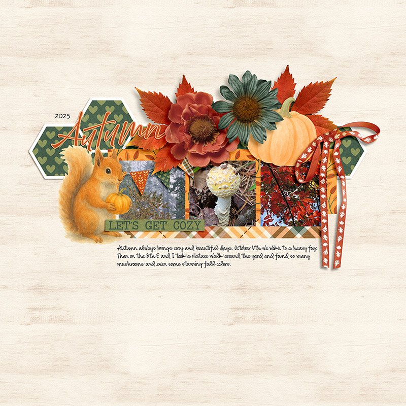 Autumn Cozy : October 2025