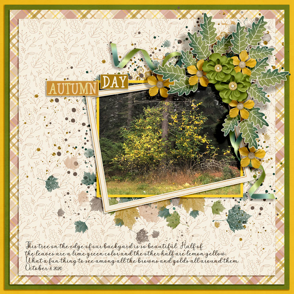AUTUMN DAY - LEMON-LIMEY TREE