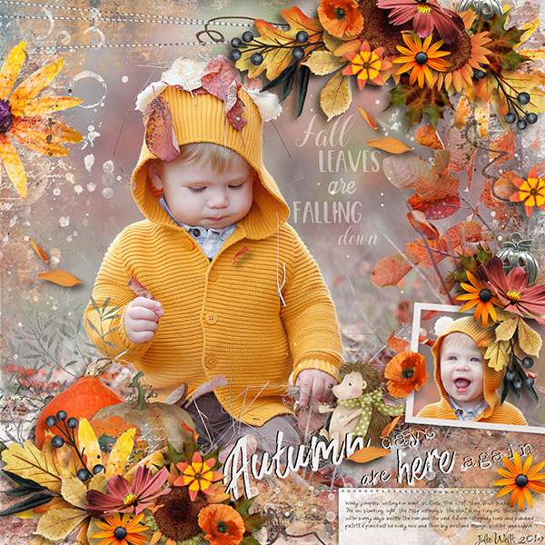autumn days are here again