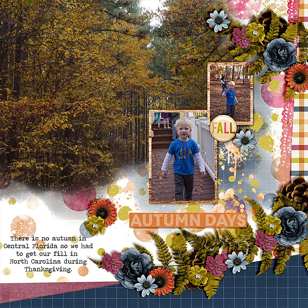 autumn-days-nc-2016