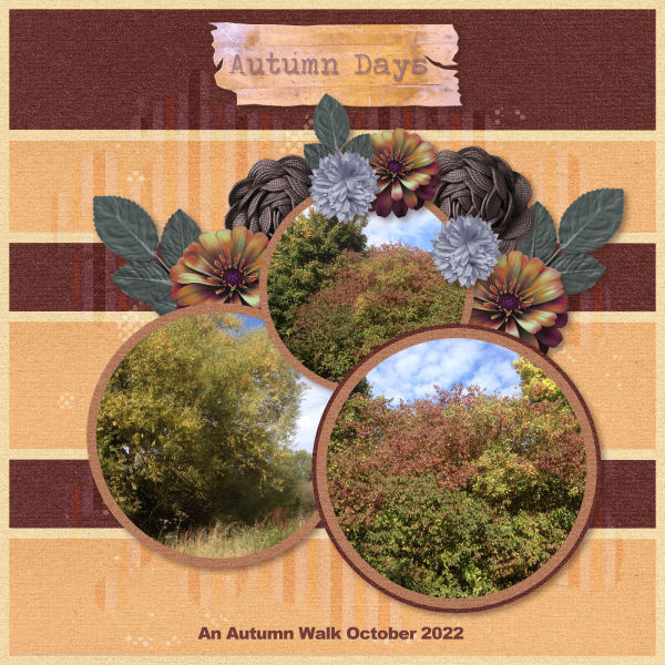 Autumn Days