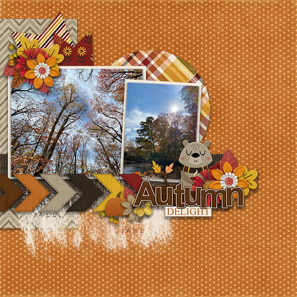 Autumn Delight