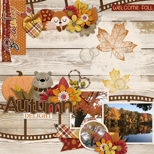 Autumn Delight