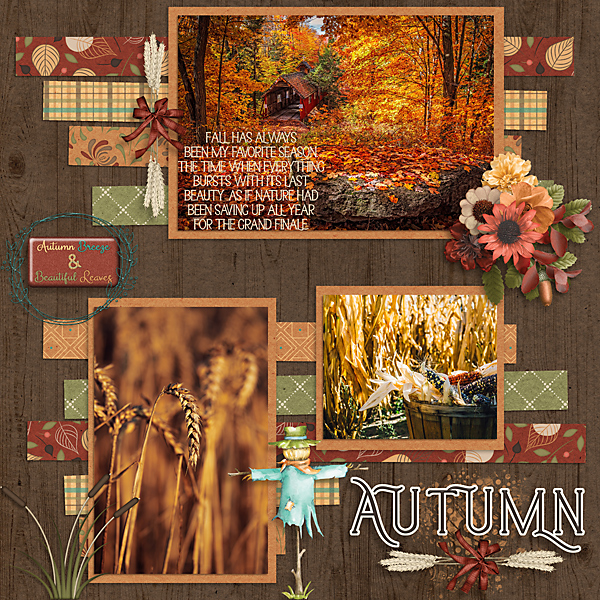 Autumn Delights