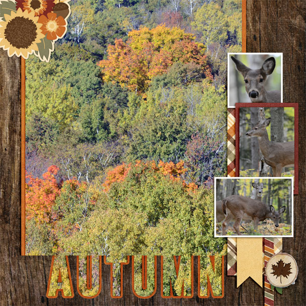 Autumn Door County