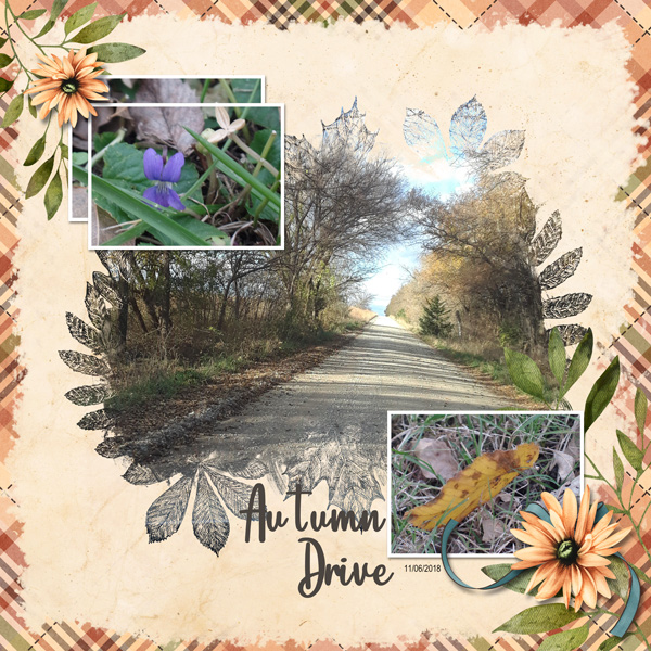 Autumn Drive