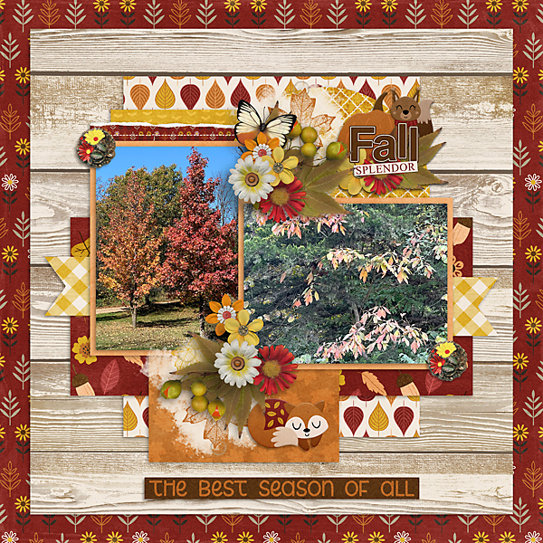 Autumn Equinox