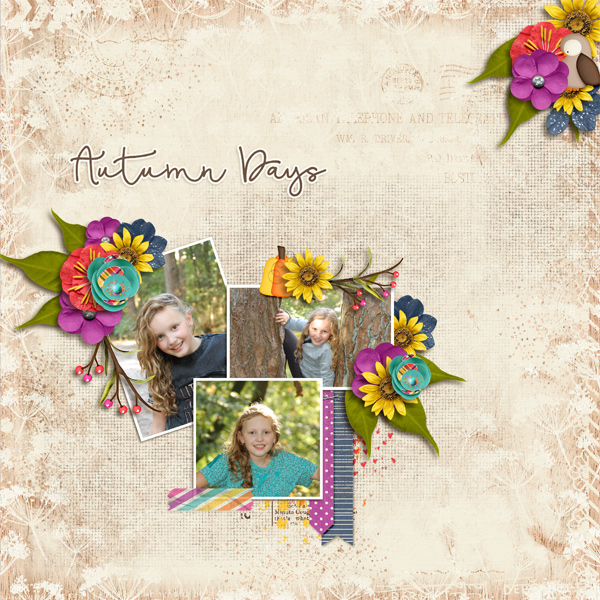 Autumn Falling