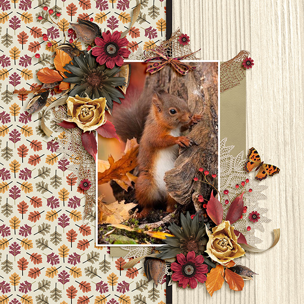 Autumn Fauna...
