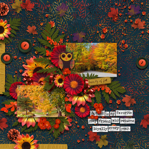 Autumn Favorite