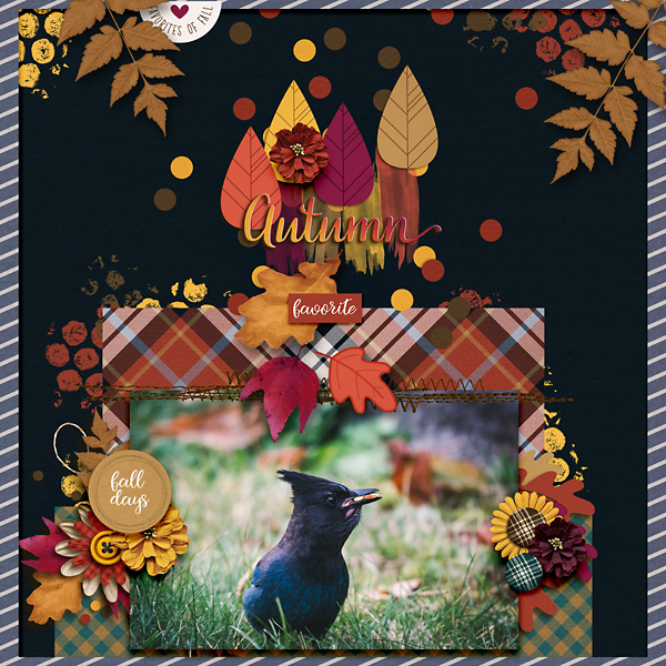 Autumn Favorite