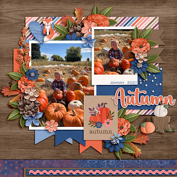 Autumn Feelings