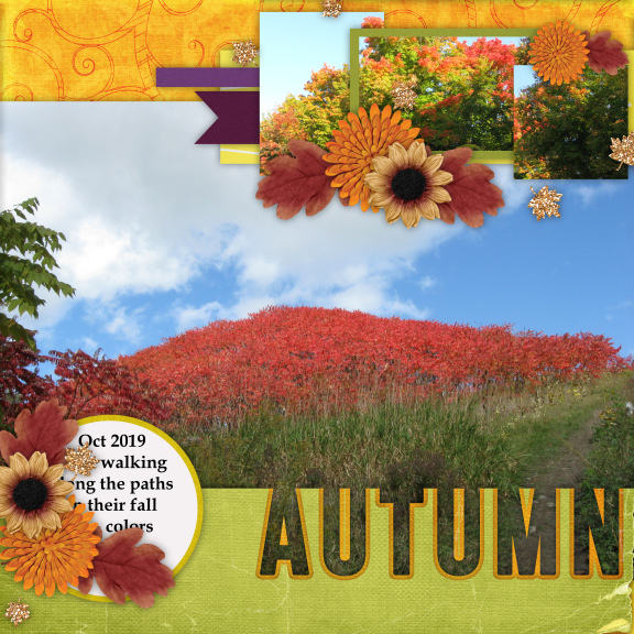 Autumn Field