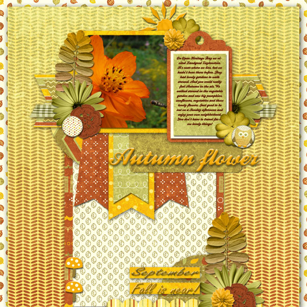 Autumn Flower