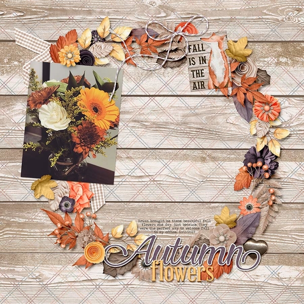 ~Autumn Flowers~