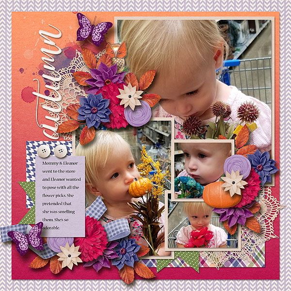 Autumn Flowers