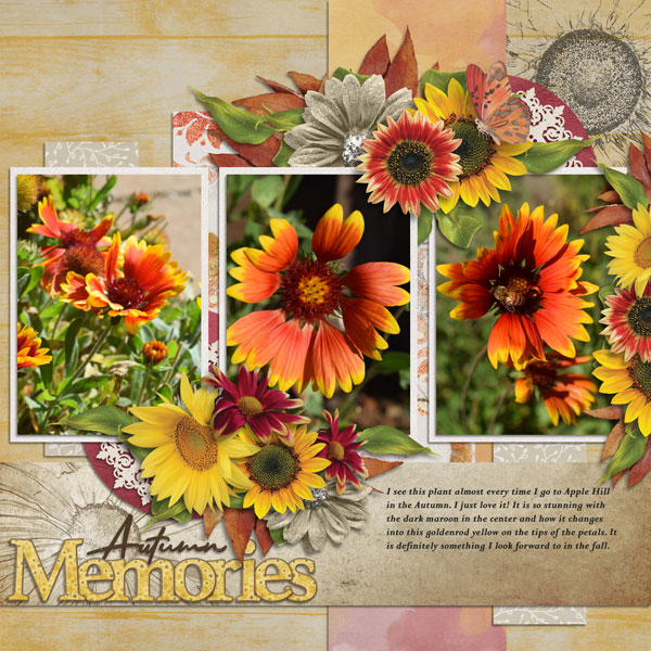 autumn flowers