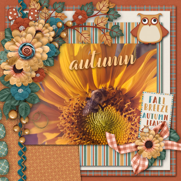 autumn flowers