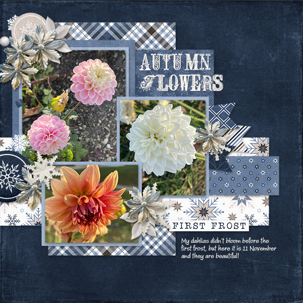 Autumn Flowers