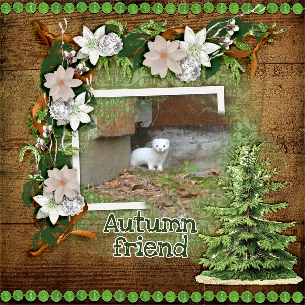 Autumn-friend