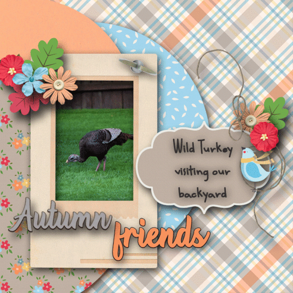 Autumn Friends