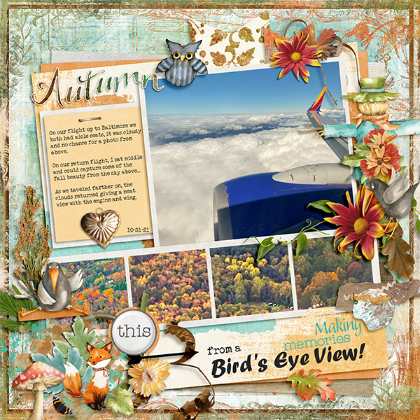 Autumn from a Bird