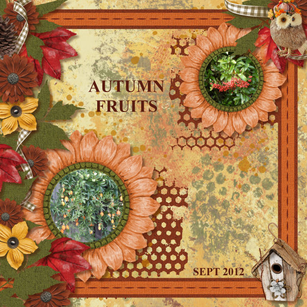 Autumn Fruits