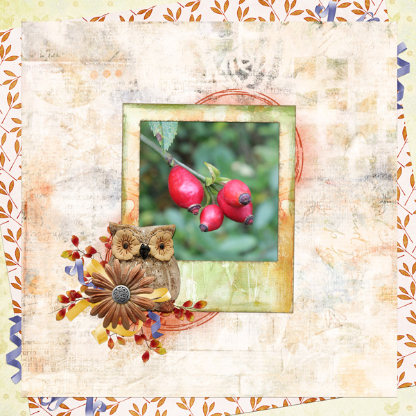 autumn fruits