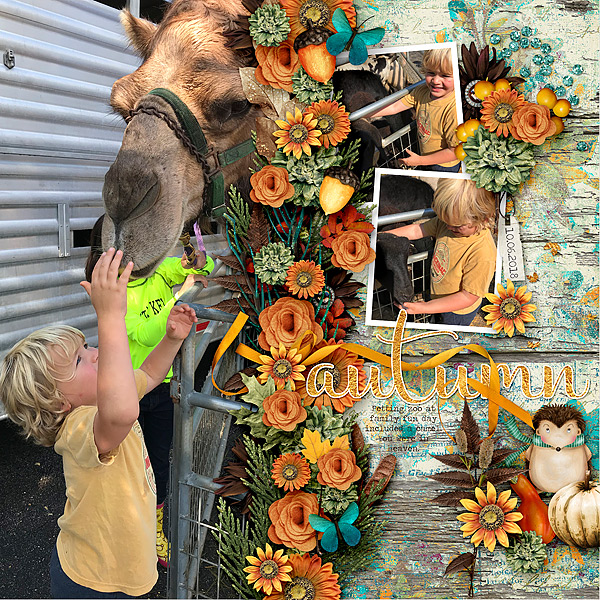 Autumn Fun (Camel)