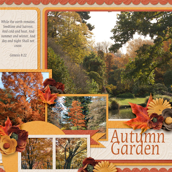 Autumn Garden